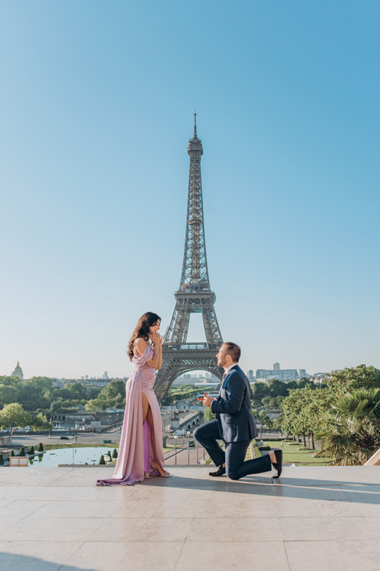 Proposal-in-paris_10