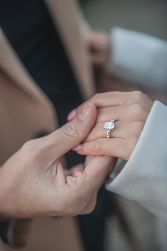 Proposal-in-paris_14