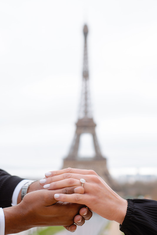 Proposal-in-paris_2