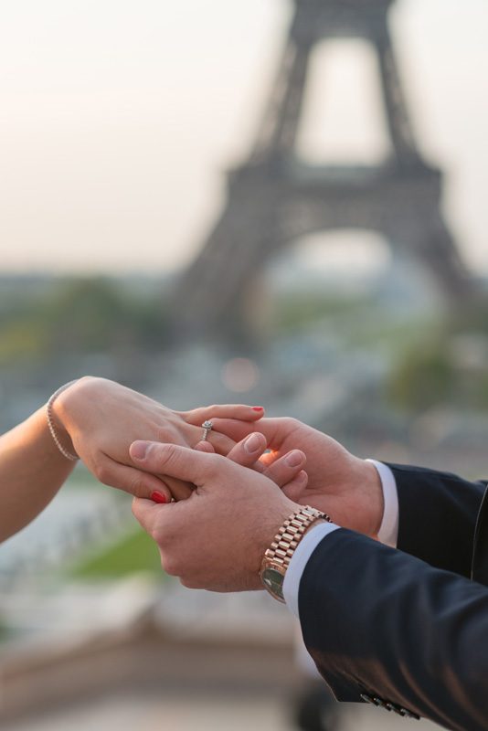surprise-proposal-paris_8
